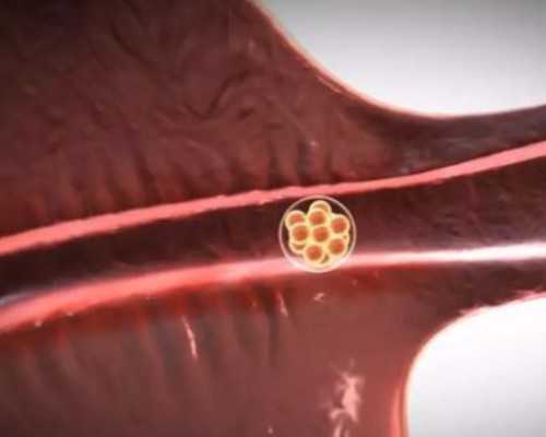 东莞私立助孕机构排名榜,东莞正规供卵机构名单汇总,这几家做三代试管不用