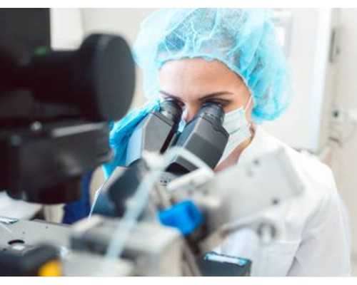 东莞热门助孕机构推荐，做试管需要什么条件