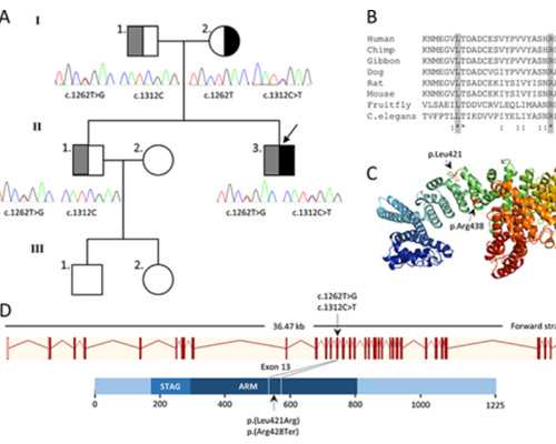 多囊试管费用_试管第三代,台湾单身女性做试管婴儿,泰国bnh试管婴儿