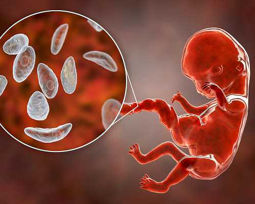 供卵试管被骗_泰国做三代试管,41还可以做试管吗,女人41岁可以做试管吗