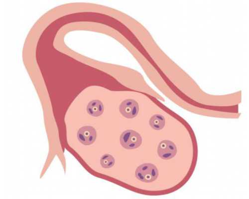 湖北省东莞市中心医院,2026
年在东莞同济医院生殖中心做供卵试管要排队等多久