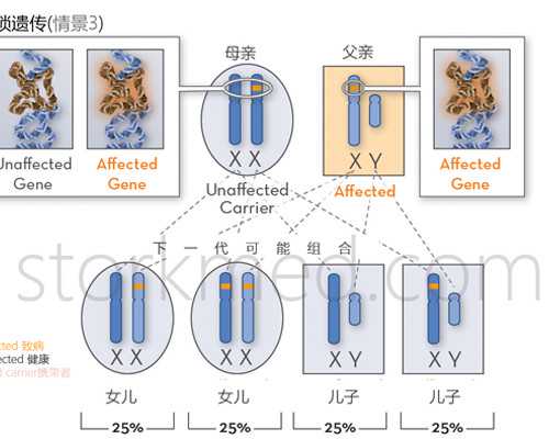广东生子代怀供卵试管,「广东试管婴儿」广东好的试管婴儿