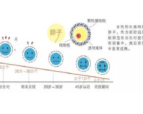 东莞热门助孕机构推荐，做试管需要什么条件