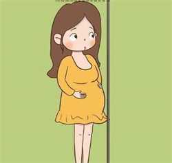 助孕选性别包成功_怀孕前做哪些检查？