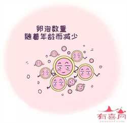广州代孕生仔-广州代生宝宝哪里有-广州20年合法代怀孕