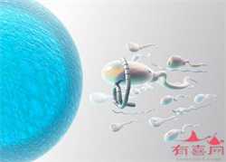 广州代孕手续,中国广州孕妈妈网,广州代孕产子价格生子