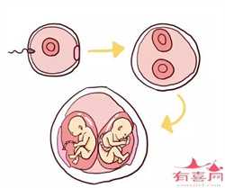 广州代孕网-广州试管代孕成功率-广州代孕产子中介公司