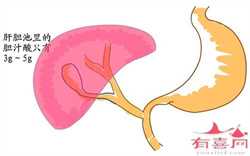 广州代孕好吗-广州代孕微信群-怎样到广州做试管代孕