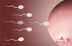 广州职业代孕`广州最靠谱的代孕`孕早期吐了几天又不吐了正常吗