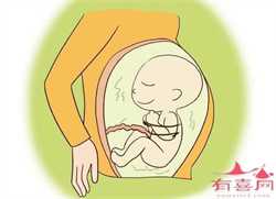 代孕妈妈怎么收费-广州医院供卵_四川成都试管二代成功率哪家好？