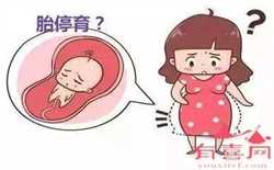 广州助孕中心价格表-供卵试管多少钱_如果都是大卵泡，就一定会成功吗？