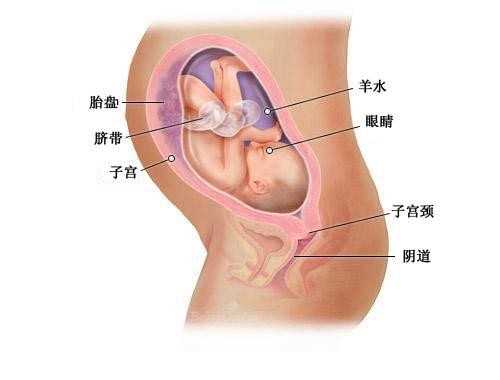 广州北医三院供卵-拉拉到哪里找代孕_1次泰国试管婴儿失败经历给出的教训