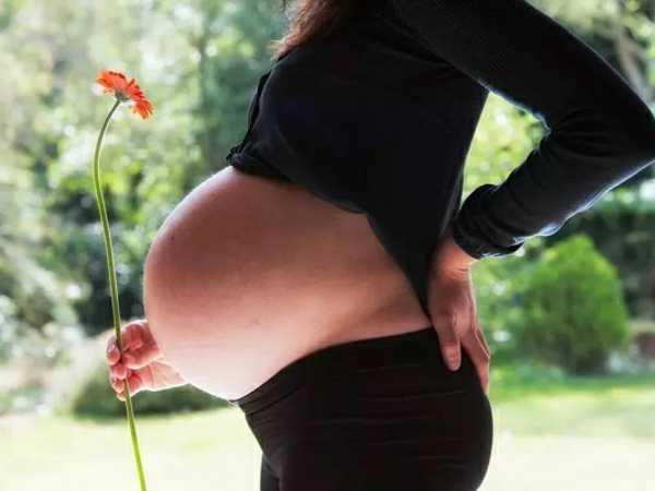 怀孕几个月能看出性别更准确